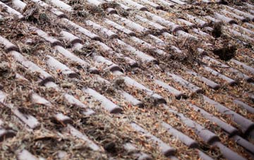 Bemersyde roof cleaning companies