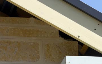 soffit repair Bemersyde