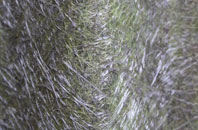 Bemersyde fibreglass roof work